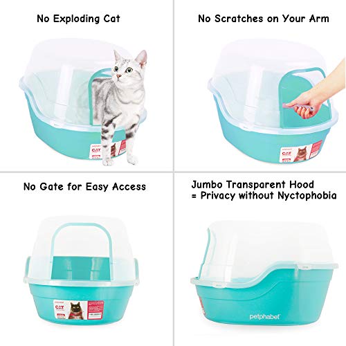 Jumbo Hooded Cat Litter Box (Teal)