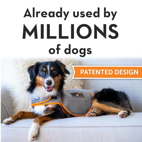 for Dogs Calming Anxiety Vest (Medium / Platinum)