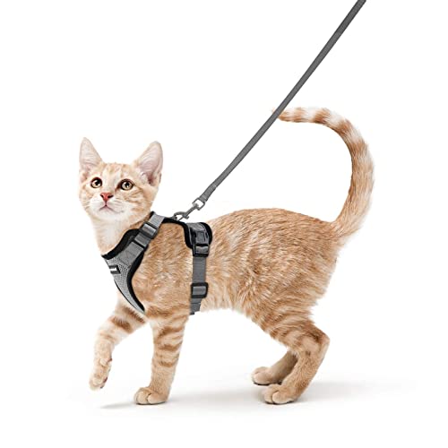 Cat Harness and Leash Set (S / Grey)