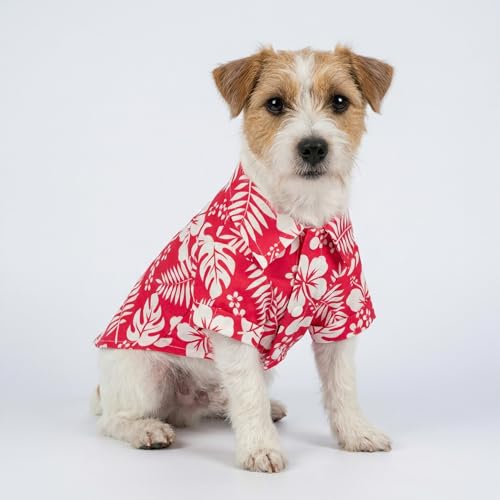 Hawaiian Floral Dog Shirt (X-Small / Tropical Flower)