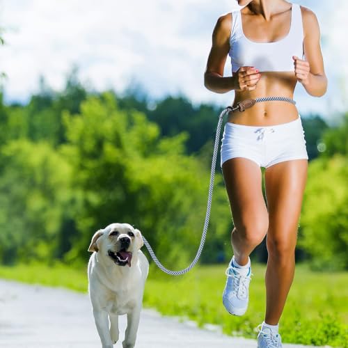 Hands Free Dog Leash (Blue Gray / 8FT Hands Free)