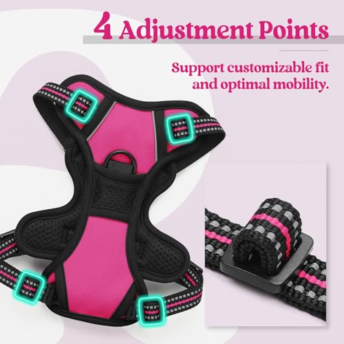 Dog Harness No Pull with 2 Leash Clips (X-Small / Hot Pink)