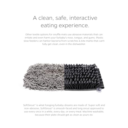 Forager Slow Feeder CAT and Dog Snuffle MAT and Feeding MAT