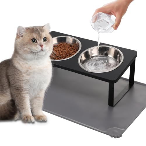 Upgraded Elevated Cat Bowls with Food Mat