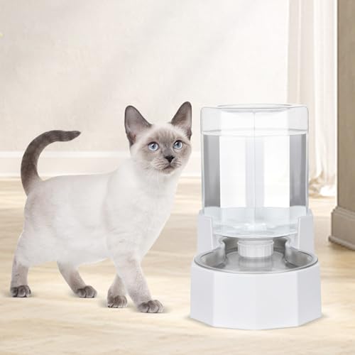 4L Stainless Steel Gravity Water Dispenser (White / 4L Without Filter)