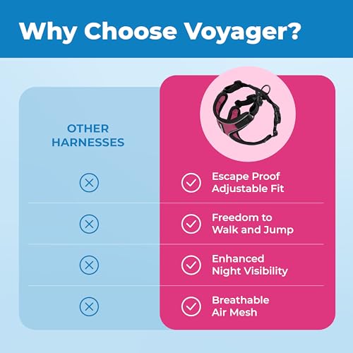 Voyager Escape (Black Trim-Fuchsia (327) / XXXS (Chest: 10.5 - 13"))