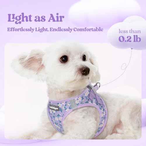Dog Harness Medium Sized and Leash Set (Lavender Floral / M (chest: 16 - 18.5"))