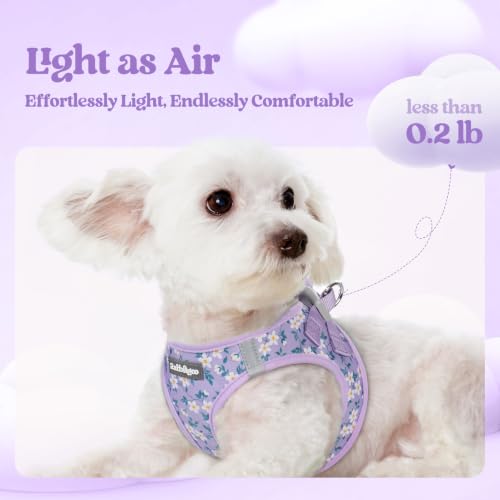 Dog Harness Small Sized and Leash Set (Lavender Floral / S (chest: 15.1 - 16.5"))
