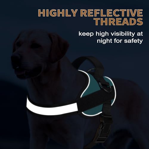 Essential Dog Harness (L / Blue)