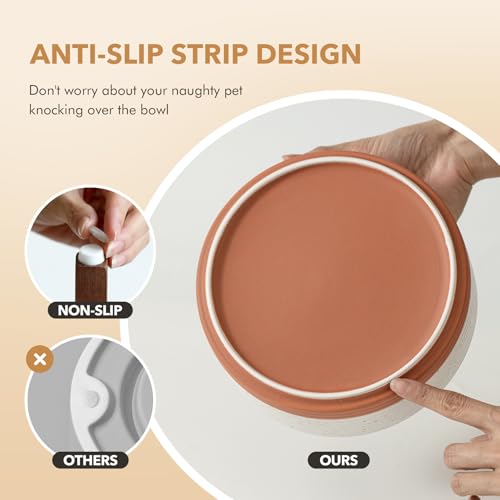 Elevated Dog Bowls (Double Bowls with Stand- Vanilla White / 7.6CUPS)