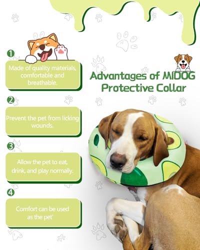Inflatable Dog Cone (Avocado / L(15"-20"))