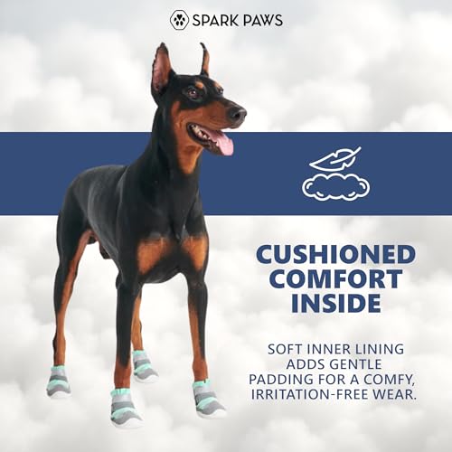 365 Dog Shoes (Turquoise / Size 8: 3"x3.35"(W*L) (Pack of 4))