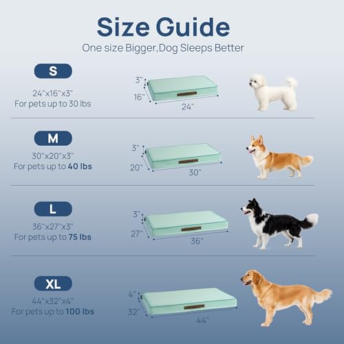 Cooling Dog Bed for Large Dogs (Light Aqua / 36''x27''x3'')