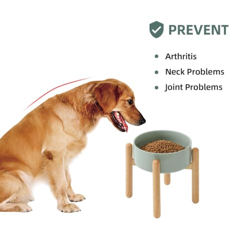 Ceramic Dog Bowls Elevated (Light Green)