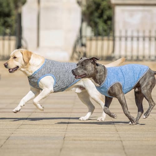 2Pack Dog Shirt for Medium Dogs Sun Protection Tank Top for Summer (XX-Large (40-55lbs) / 3# 2Pack (Light Blue+Grey))