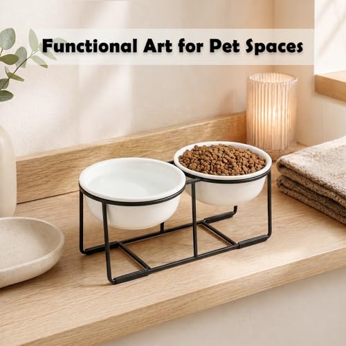 Ceramic Elevated Dog Bowl Set (Matte White / L × 2)