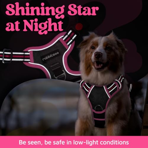 Dog Harness Medium Sized (Black & Pink / Medium)
