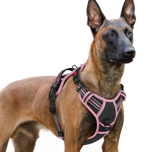 Dog Harness for Large (X-large / Black & Pink)