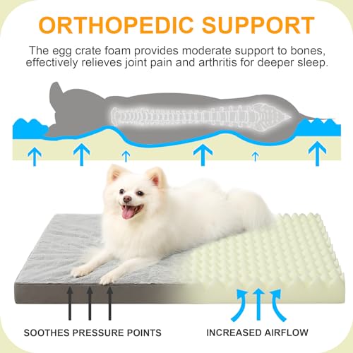 Orthopedic Dog Bed for Small Dogs with Waterproof Lining (Light Grey / 23.0"L x 17.0"W x 3.0"Th)