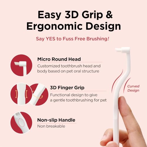 Dental Care Brush (Edge Bristles / 1 Count (Pack of 3))