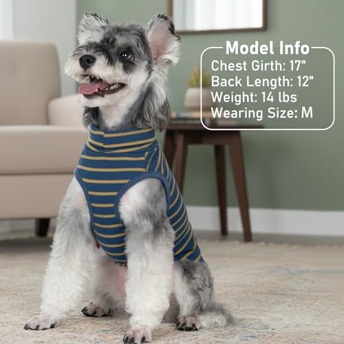 2Pack Dog Sweater for Small Dogs Soft Pet Coats Fleece Sweatshirt (Medium (7-11lbs) / 2# Stripe+Navyblue)