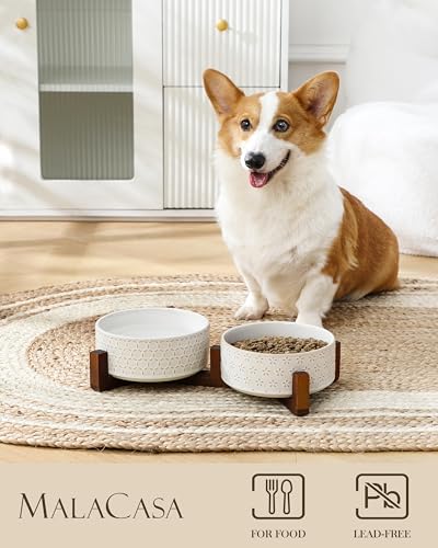 Dog Bowl Set Ceramic Bowls with Walnut Wood Stand (Five-leaf Grass+Honeycomb / 4 Cups)
