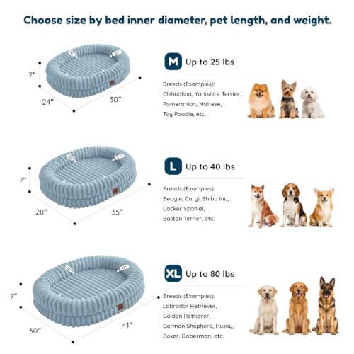 Orthopedic Dog Bed (Light Blue / L(35*28*7))