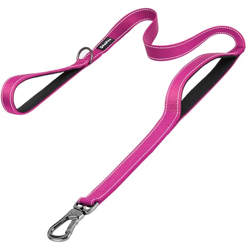6FT Heavy Duty Dog Leash with Soft Padded Double Handle (6 FT x 1 in Wide / Rose)