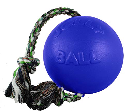 Romp-N-Roll Rope & Ball Dog Toy, 6 in Medium, Blue (Blue / Medium (6 in))