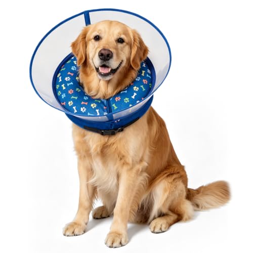 2-in-1 Inflatable Dog Cone Collar, Transparent Anti-Licking Shield with Detachable Soft Padding, Adjustable Elizabethan Collar for Small, Medium, Large Dogs and Cats (L) (（L))