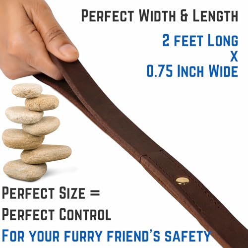 Leather 2 Foot Dog Leash Brown (Brown / 2 FT)