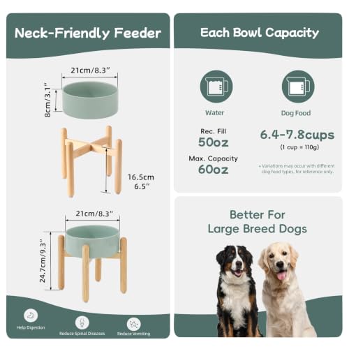 Ceramic Dog Bowls Elevated (Light Green)
