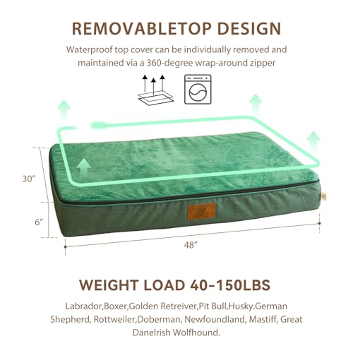 Orthopedic Memory Foam XXL Dog Bed (48.0"L x 30.0"W x 6.0"Th / Forest Green)