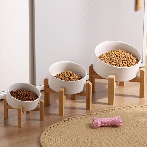 White Raised Elevated 15°Slanted Ceramic Dog Bowl for Small Breeds (White / 1.7 CUPS - Puppy/Small Dogs & Cat Bowls)