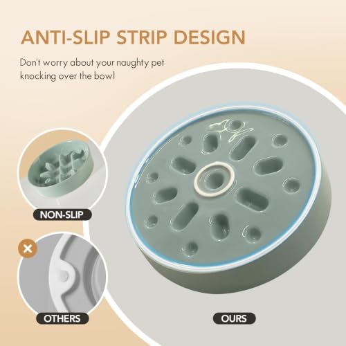 Elevated Slow Feeder Dog Bowls (Light Green)