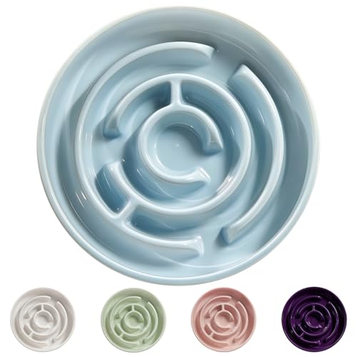 Ceramic Slow Feeder Dog Bowl (Blue)