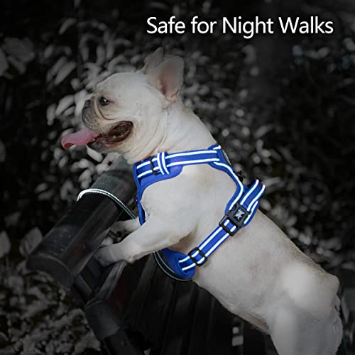 No Pull Dog Harness (S / Royal Blue)