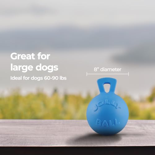 Tug-n-Toss Heavy Duty Dog Toy Ball with Handle, 8 Inches/Large, Blueberry (Blueberry / Large (8 in))