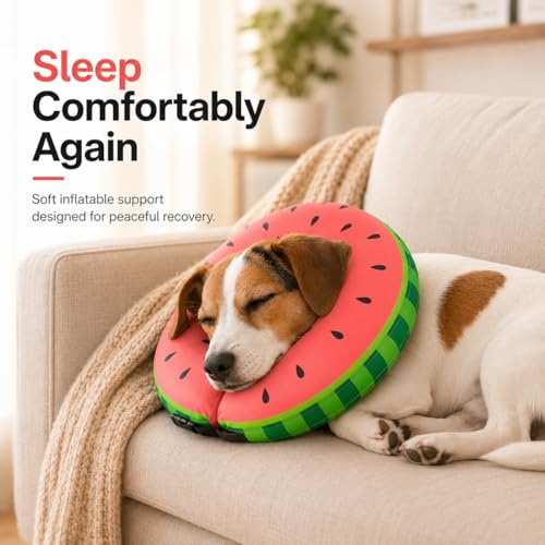 Inflatable Dog Cone After Surgery (Watermelon / M(12"-15"))