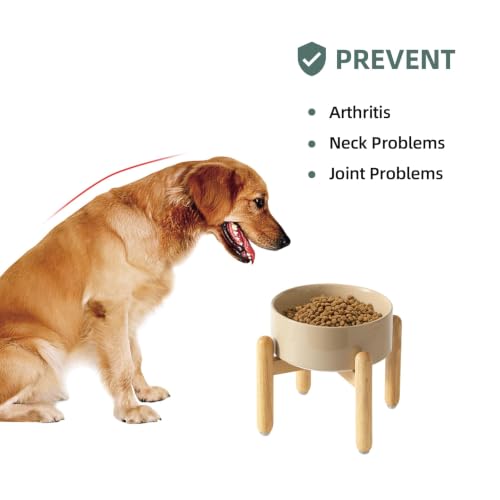 Ceramic Dog Bowls Elevated (Greige)