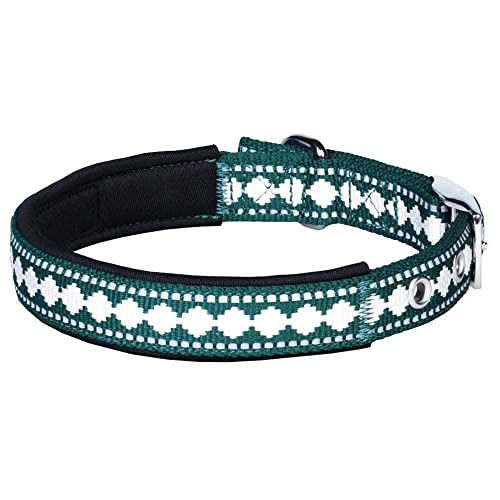 Reflective Jacquard Dog Collar with Neoprene Padding & Metal Buckle (Small / Metal Buckle-Teal Blue)