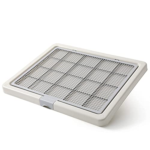Large 76X62CM Pet Training Tray (29.92x24.4 Inch (Pack of 1))