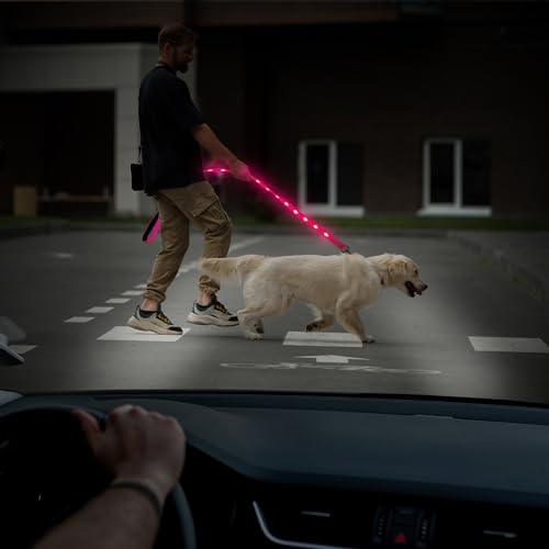 LED Dog Leash (PinkⅡ)