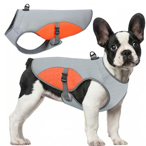 Cooling Vest for Extra (Orange / X-Large)