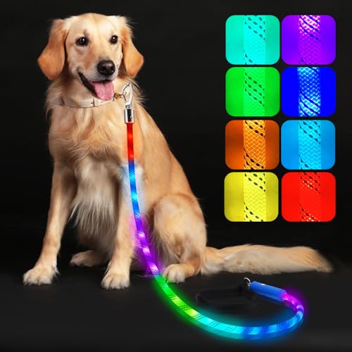 Light Up Dog Leash (Leash-5Ft)