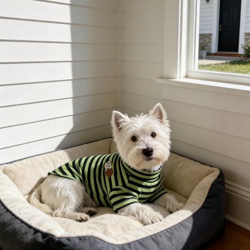 Turtleneck Dog Shirt Cute Doggie Embroidery Super Soft Dog Sweatshirt Stretchy Striped Puppy Pullover for Cats Small Medium Large Dogs (Green Striped / X-Large)