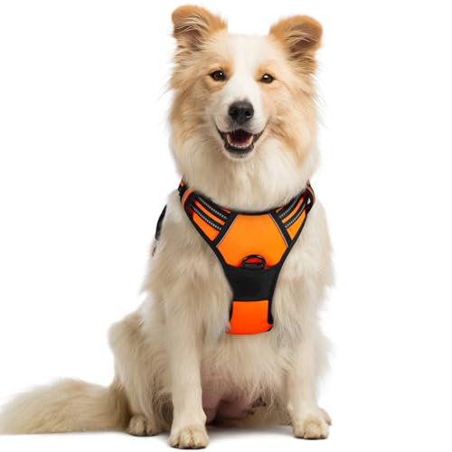 Dog Harness No Pull Medium Sized with 2 Leash Clips (Medium / Orange)