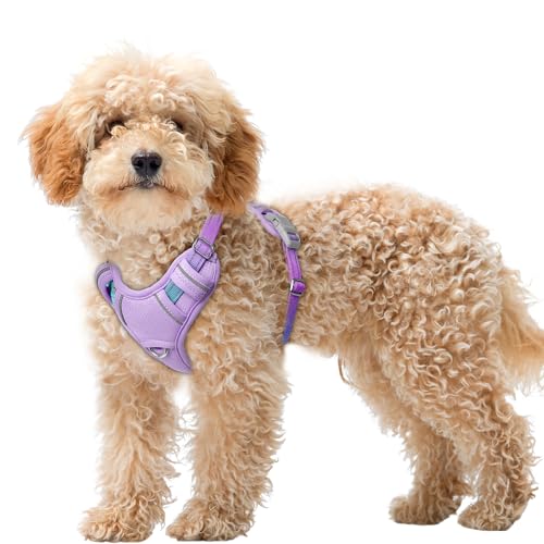 Dog Harness for Small Sized Dog No Pull Dog Vest ID Tag Pocket (Lavender Sky / X-Small)