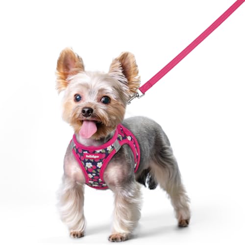 Dog Harness Small Sized and Leash Set (Pink Berry / Xs (chest: 13.3 - 15.5"))