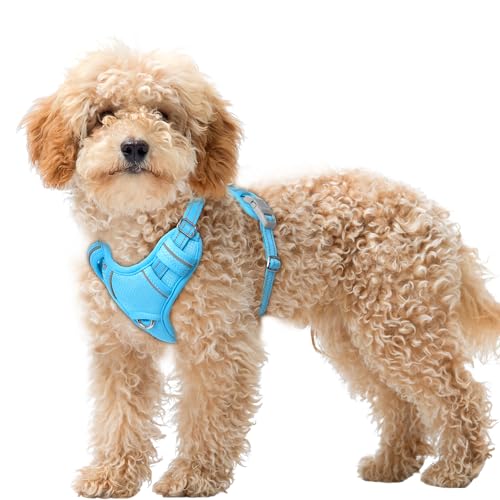 Dog Harness for Small Sized Dog No Pull Dog Vest ID Tag Pocket (Blue / X-Small)